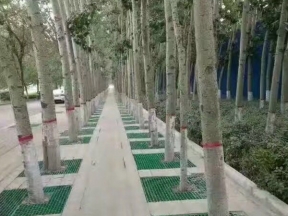 武漢市政護(hù)樹格柵板廠家